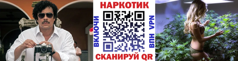 Купить закладку Галлюциногенные грибы  БУТИРАТ  ГАШ  APVP  Меф  Дмитриев