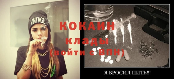 мдпв Кодинск