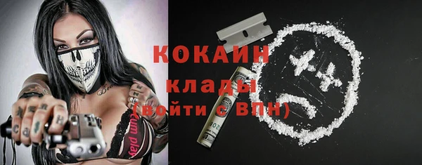 мдпв Кодинск