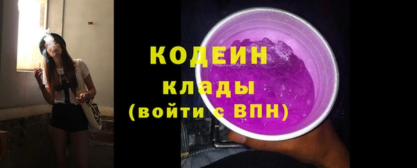 мдпв Кодинск