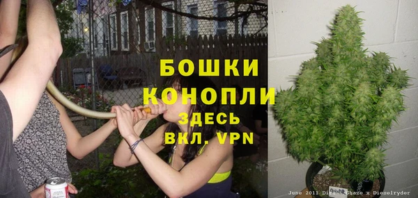 мдпв Кодинск