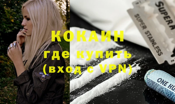 мдпв Кодинск
