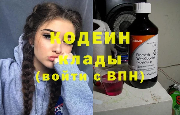 мдпв Кодинск