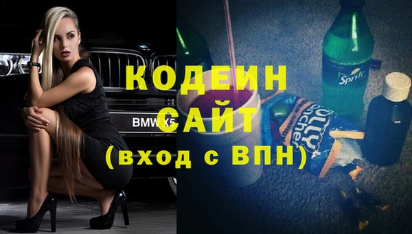 мдпв Кодинск