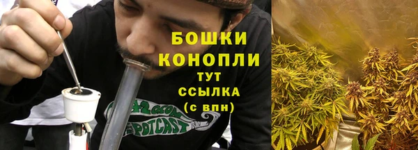 мдпв Кодинск