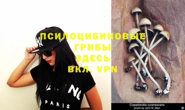 ПСИЛОЦИБИНОВЫЕ ГРИБЫ Козельск
