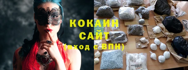 мдпв Кодинск